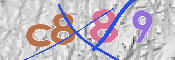 Codice di Sicurezza