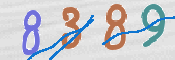 Codice di Sicurezza