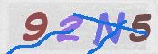 Codice di Sicurezza