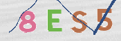 Codice di Sicurezza