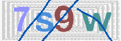 Codice di Sicurezza