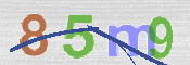 Codice di Sicurezza