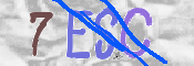 Codice di Sicurezza
